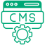 CMS Development